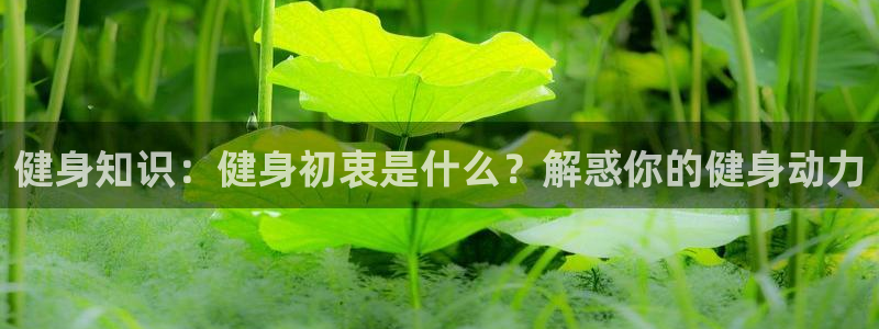 qy千亿体育登录平台首页