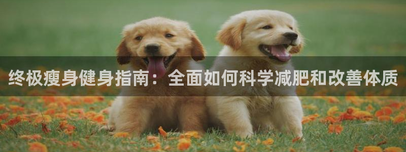 QY球友会